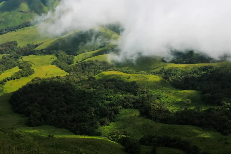 all about munnar